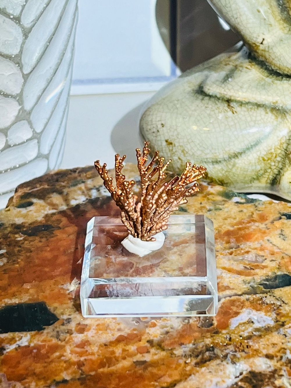 Copper 🪸 - Picture 1 of 3